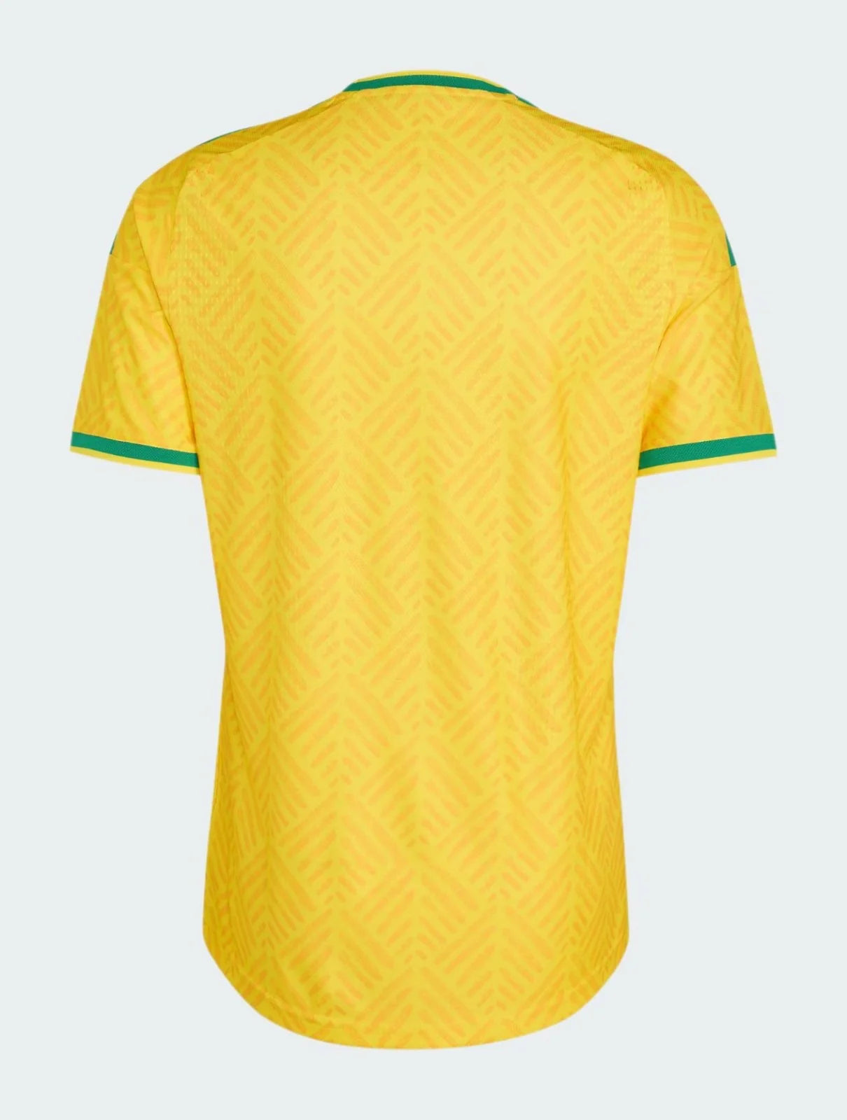 JERSEY SOUTH AFRICA HOME 2026